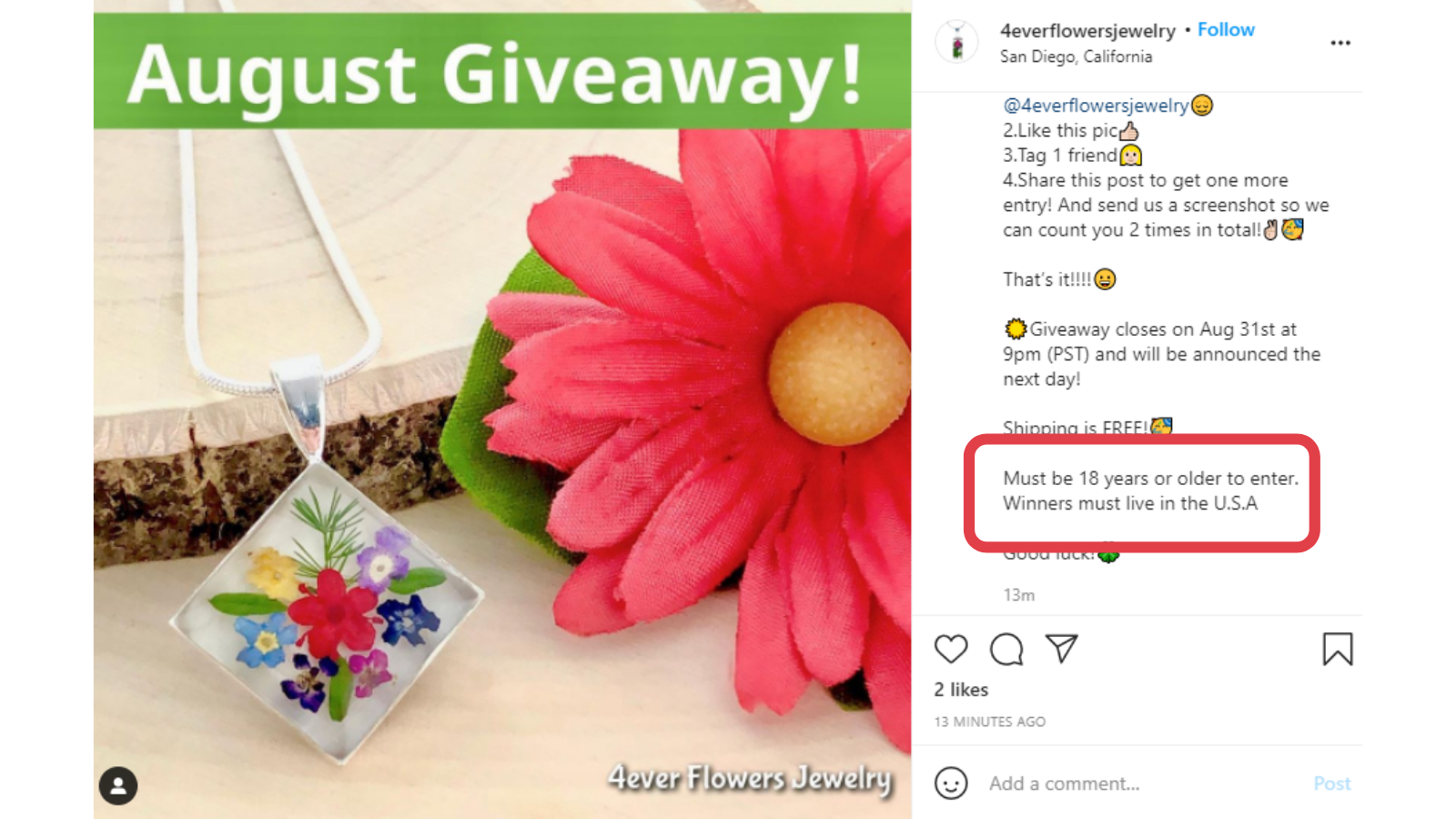 The Pros and Cons of Instagram Giveaways